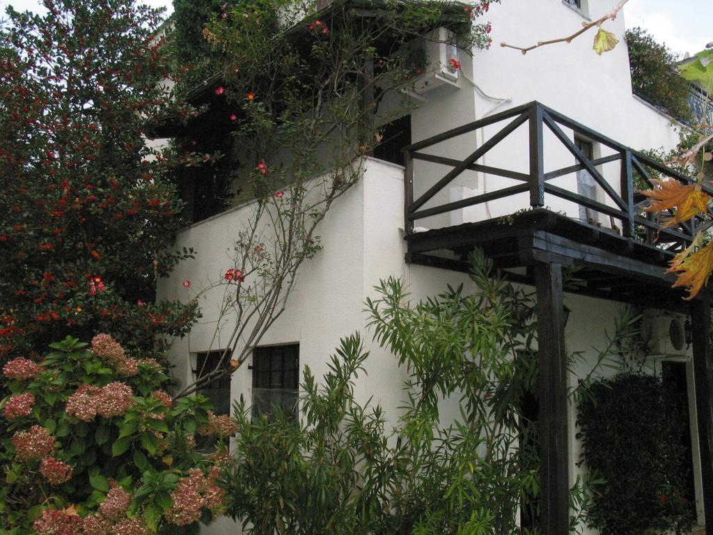 Villa Georgie Цагарада Екстериор снимка