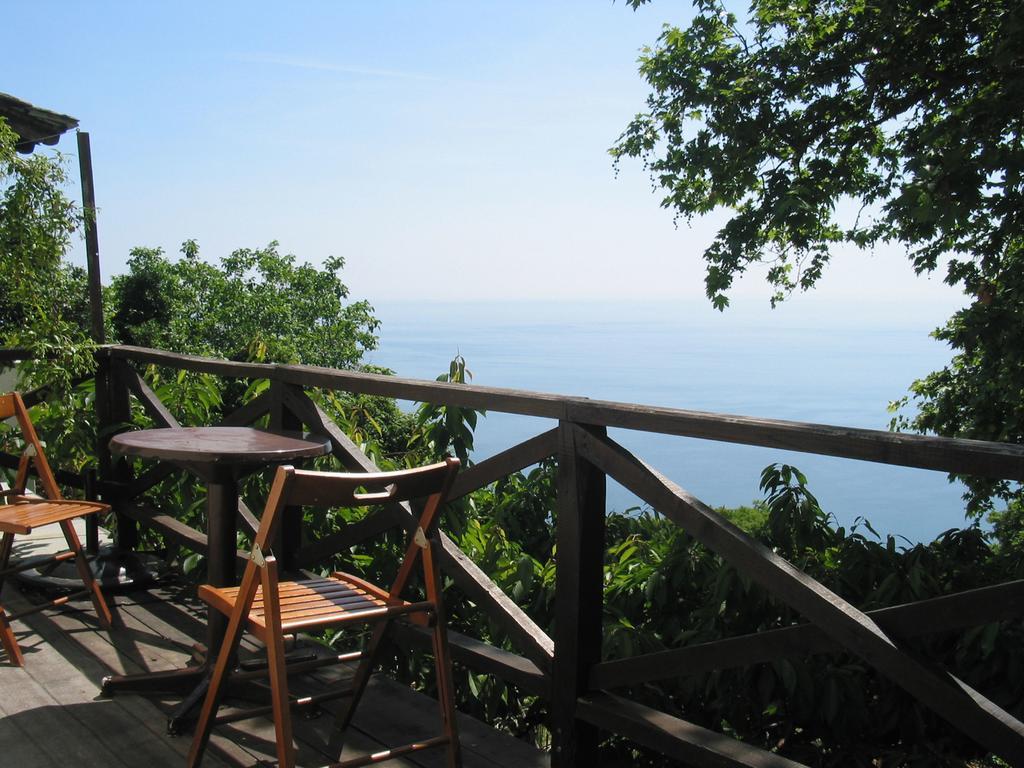 Villa Georgie Цагарада Екстериор снимка