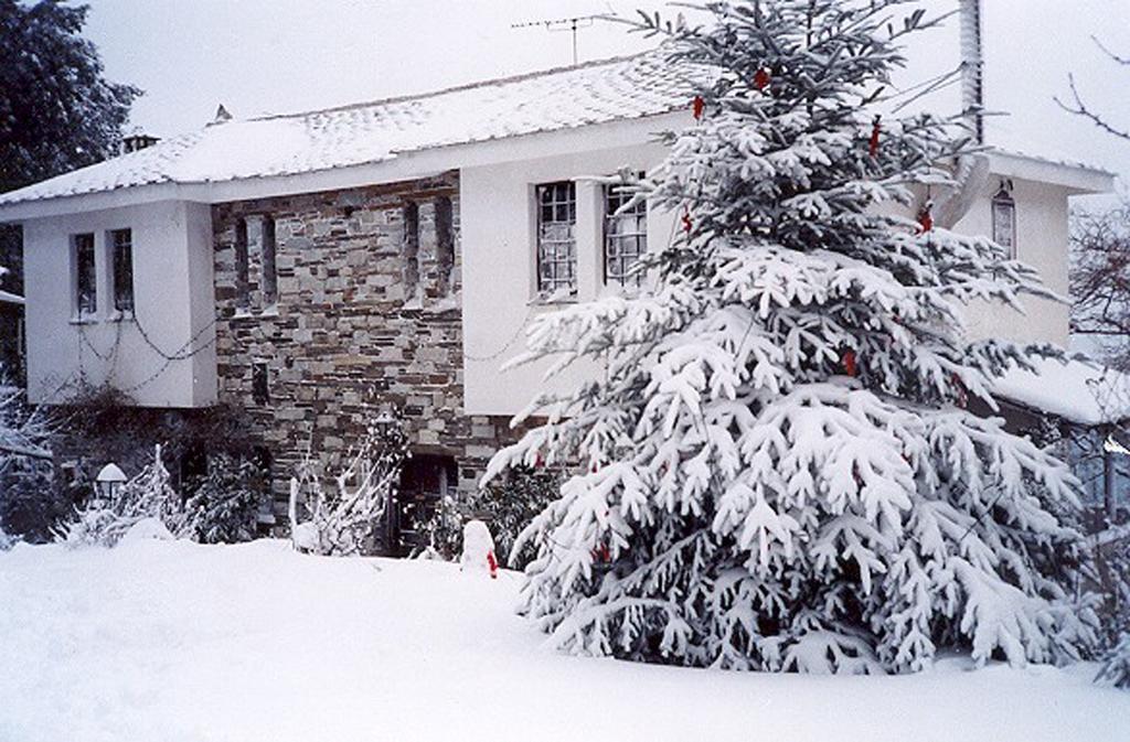 Villa Georgie Цагарада Екстериор снимка